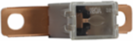 Cartridge Fuse 120A 32Vdc 2.44 Inch Length for Japanese Vehicles