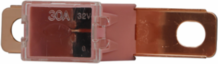 Cartridge Fuse 30A 32Vdc 2.4 Inch Length Non-Indicating