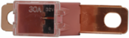 Cartridge Fuse 30A 32Vdc 2.4 Inch Length Non-Indicating