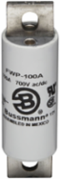 High Speed Fuse 100A, 700V Rated, 4.59 Inch Length, North American Style