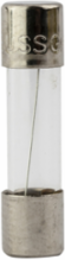 Fast-Acting Fuse 6A 125 Vac 0.25 Inch Length