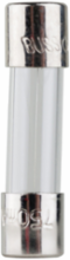 Fast-Acting Glass Fuse 750 mA, 250 Vac, 0.25 Inch Length