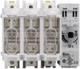 Fused Rotary Disconnect Switch 60A 600 Vac 250 Vdc Compact Flange