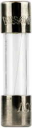 Fast-Acting Glass Fuse 1A, 250 Vac, 80A Interrupt Rating, Electronic Circuit