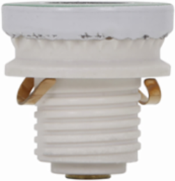 Time Delay Plug Fuse, 30A, 125V, 10 kAIC, Rejection Base, Threaded Mount