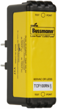 Cartridge Fuse 100A Time Delay 2 Inch x 1.625 Inch Finger Safe