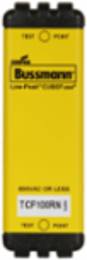 Cartridge Fuse 100A Time Delay 2 Inch x 1.625 Inch Finger Safe