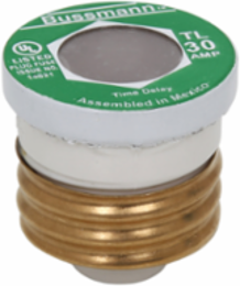 Time Delay Plug Fuse 1.25 Inch x 1.25 Inch x 1.25 Inch 30A 125V