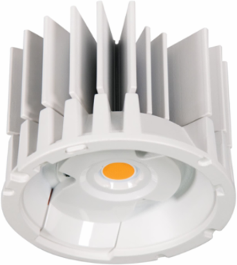 6" Module, 500-2500 Lumens, 80 CRI, 3000K CCT.