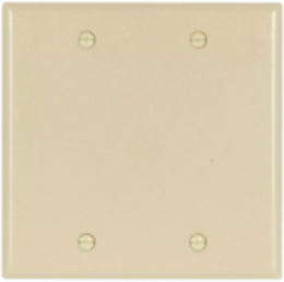 Blank Wallplate, 2-Gang, Standard, Thermoset, Ivory (2137V-BOX)