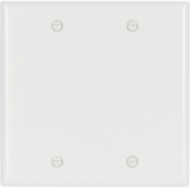 Standard Size Blank Wallplate