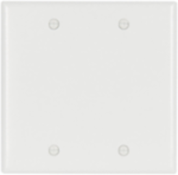 Standard Size Blank Wallplate