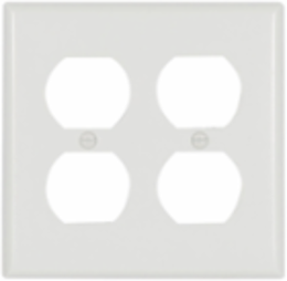 Standard Size Duplex Receptacle Wallplate