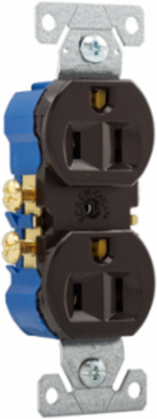 Duplex Receptacle