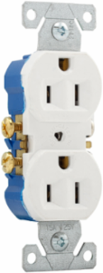 Duplex Receptacle