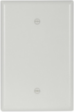 Oversize Blank Box Mounted Wallplate