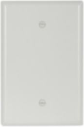 Oversize Blank Box Mounted Wallplate