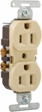 Duplex Receptacle