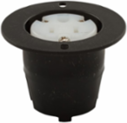 Flanged Outlet