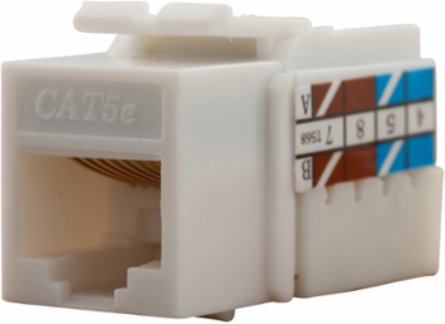 Modular Data Jack