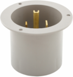Flanged Inlet