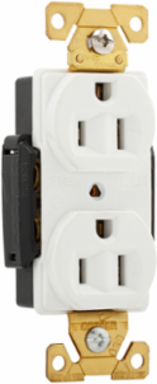 Duplex Receptacle