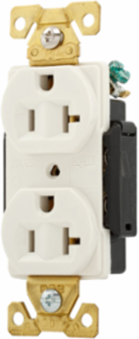 Premium Duplex Receptacle