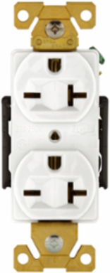 Premium Duplex Receptacle