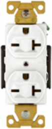 Premium Duplex Receptacle