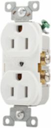 Duplex Receptacle