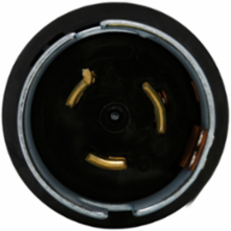 Locking Plug, Pro Grip California Standard, 50A, 125V, Two-Pole, #10-4 AWG, Non-NEMA, Red Black