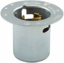 Locking Flanged Inlet, California Standard, 50A, 250V, Two-Pole, Non-NEMA, Steel