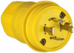 Locking Plug