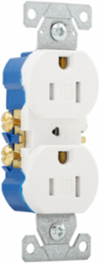 Duplex Receptacle