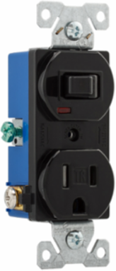Toggle Switch and Receptacle