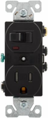 Toggle Switch and Receptacle