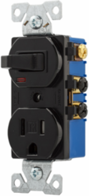 Toggle Switch and Receptacle