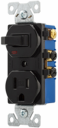 Toggle Switch and Receptacle