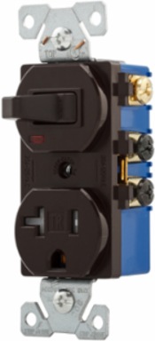 Toggle Switch and Receptacle