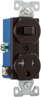 Toggle Switch and Receptacle