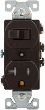 Toggle Switch and Receptacle