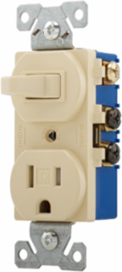 Toggle Switch and Receptacle