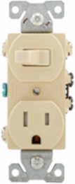Toggle Switch and Receptacle