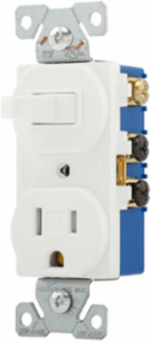 Toggle Switch and Receptacle