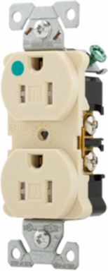Duplex Receptacle