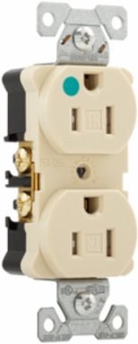 Duplex Receptacle