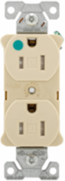 Duplex Receptacle
