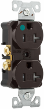 Duplex Receptacle