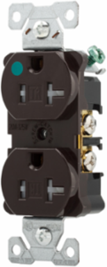 Duplex Receptacle