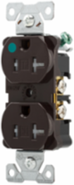 Duplex Receptacle
